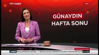 Trt Haber Kestane Balı