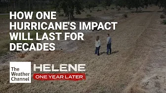 How One Hurricane's Impact Will Last for Decades