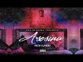 Rickylindo Asesina Official Audio mp3