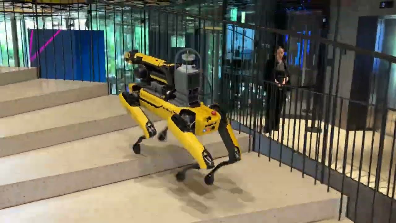 Robotkutya és rajzoló robot a 2025-ös AI Summit rendezvényen