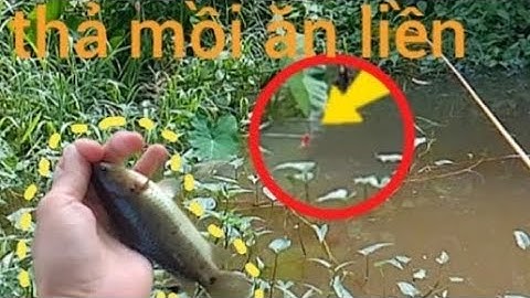 Tập 160 - Mùa Nước Nổi Đi Câu Thấy Mê | Câu Cá Rô Đồng |