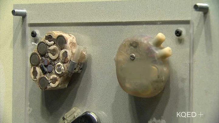 History Quiz @ The Tech 1