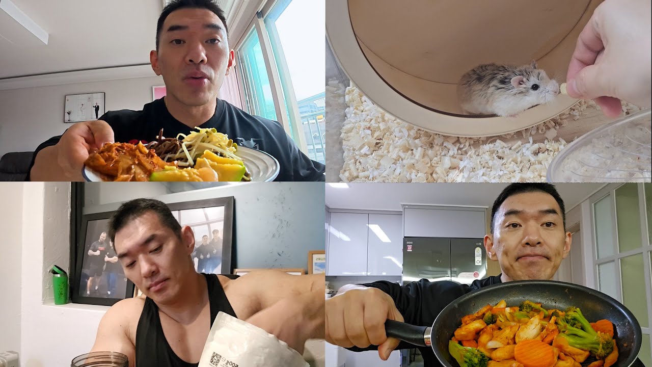 심심한데 볼만한 VLOG