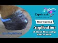 Equicast Application - Wood Shoe with Cast & Glue