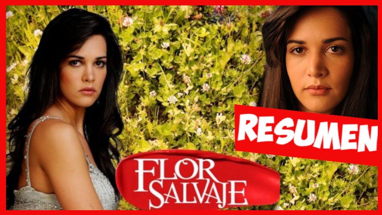 FLOR SALVAJE resumen en un solo video