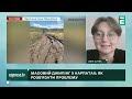 СКАНДАЛ В КАРПАТАХ! В Яремче спалахнув БУНТ через джип-тури🔻Як зупинити нищення заповідника?
