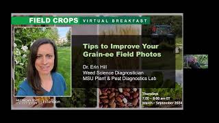 Field Crops Virtual Breakfast: Tips to Improve Your Grain-ee Field Photos