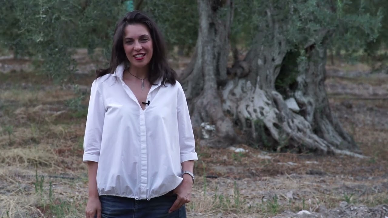 Olivurla's owners tells about Urla