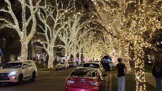 Exploring an Entire Street of Christmas Tree Lights, & Christmas Houses in SLC (December 22, 2025)