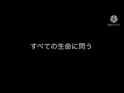 ミュウツーの逆襲