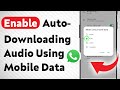How To Enable Auto-Downloading Audio Using Mobile Data On WhatsApp (Updated)