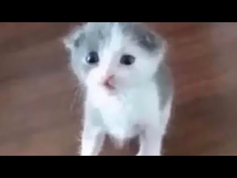 Quiet raging. - YouTube