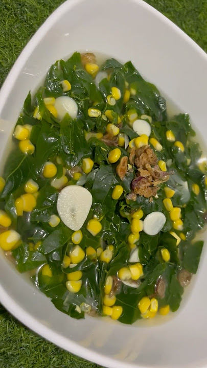 Suka bgt gadoin Sayur Bening Katuk pakai Mangkuk Kecil = Definisi BAHAGIA versi Aku🌿 #MenuHarian