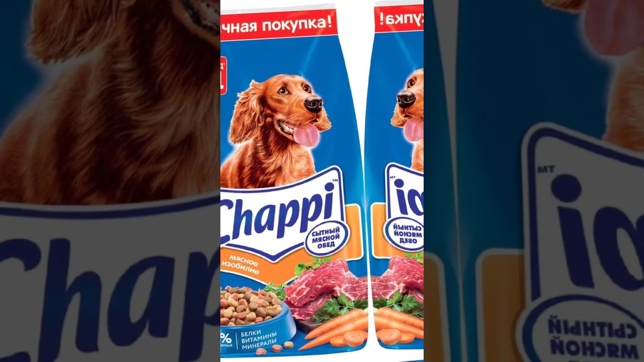 что означает чувствительный корм для собак?