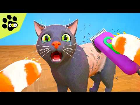 I Shaved GRANNYS NEW CAT! (Cat From Hell)