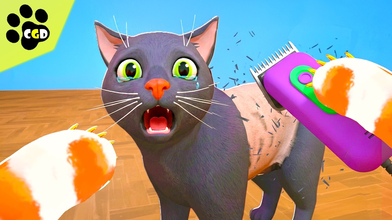 Я побрил нового кота бабушки! (Кот из ада)