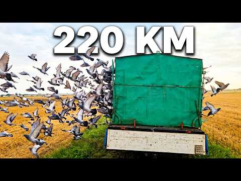 WG Warmia lot konkuroswy 3, Marijampolė - Sezon IX, 17.08.2026