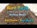 Rice husk for rose plant best soil mix for rose plant soil mixture