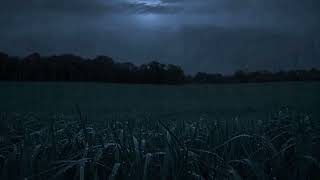 Moonlit Rain on a Dewy Field — 1 Hour Cozy Night Rain Ambience | WarmVerse