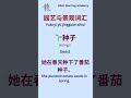 Garden Chinese Vocabulary 🌻 | 10 Must-Know Words for Beginners