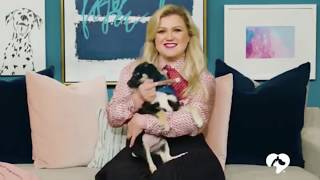 Kelly Clarkson Clear The Shelters Special 2019