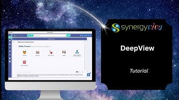 Synergy Viva DeepView