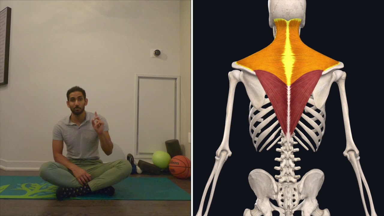 NecK Pain Relief Exercise Stretch to Lower Neck Pain Today YouTube