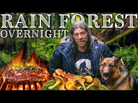 Rainforest Overnight Camping and Foraging on Vancouver Island by Ovens Rocky Mountain Bushcraft