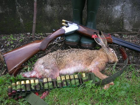 Freunde der Hasenjagd 2025
