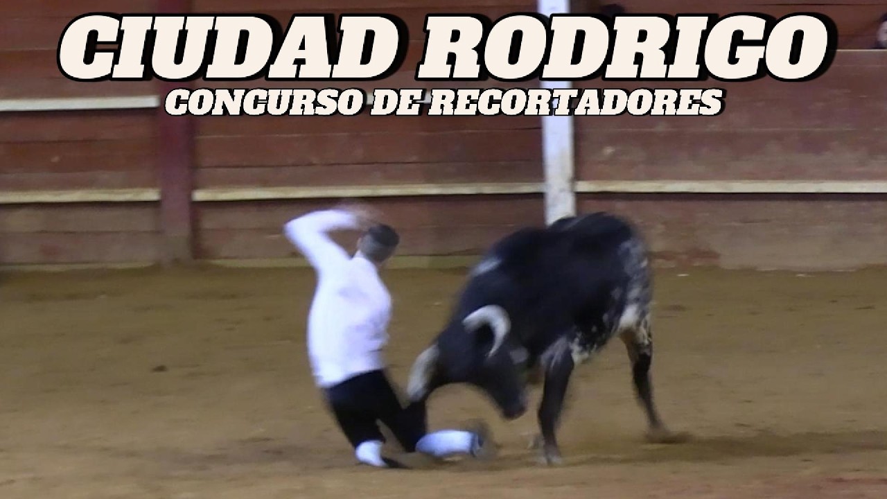 CIUDAD RODRIGO • 🔔Carnaval del Toro🔔 • Concurso de Recortadores