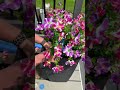 Stunning Fake Flowers That Fool Everyone! #DIYDecor #HomeHacks