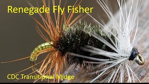 CDC Transitional Midge