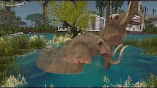 Xcreations SL Marketplace