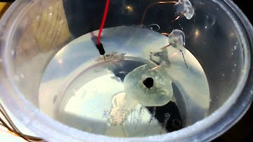 Indicador de nível de água - Arduino