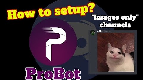 How to setup "images only" channels | ProBot | Discord