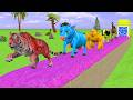 Paint Animals Duck Gorilla Lion Elephant - fountain Transforms Animals crossing Cow Animal Tiger 724