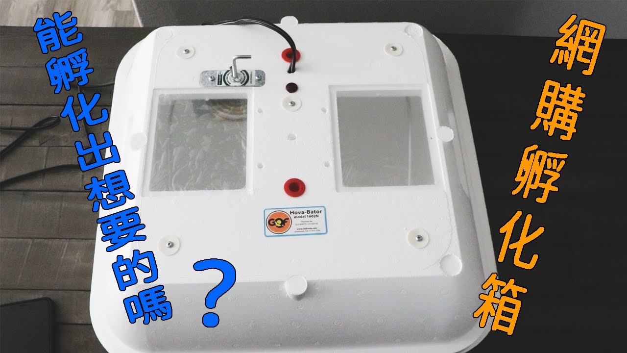 孵化箱開箱 Unboxing Hovabator Incubator Youtube