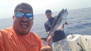 Huge Blackfin Sharked | Birthday Fishing | Another Day In Paradise 🌴⚓️🌊🍺