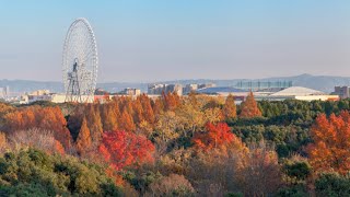 20151218 万博記念公園駅「大阪モノレール」