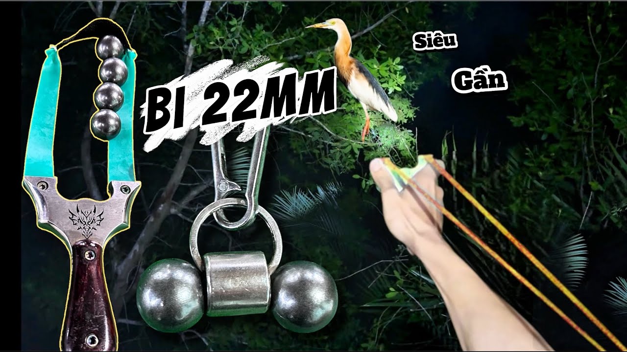 Sử Dụng Bi 22mm Săn Sát Thủ Ao Tôm và CÒ BỢ Siêu Gần - bushcraft hungting and cooking 