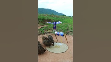 Best unique creative bird trap #shorts