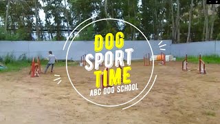 Dog Sport Time