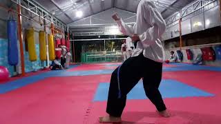 Kiệt quyền 4 Taekwondo