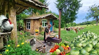 видео: Жареная Капуста.  Готовим Мясо с Овощами  на Садже. картинка: Жареная Капуста.  Готовим Мясо с Овощами  на Садже.