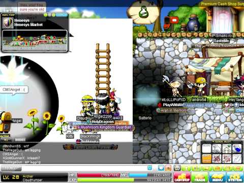 MapleStory: Image/Animation Hacker causes me to Disconnect