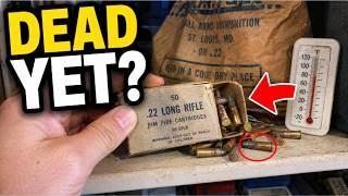 Is The Ammo In Your Closet Already Dead Nobody Has Ever Actually Tested This