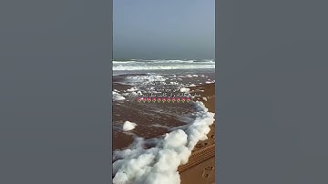 سبحان الله وبحمده سبحان الله العظيم 🌷🌷 #اكسبلور #quran  #تلاوة_خاشعة #ماهر_المعيقلي #راحة_نفسية