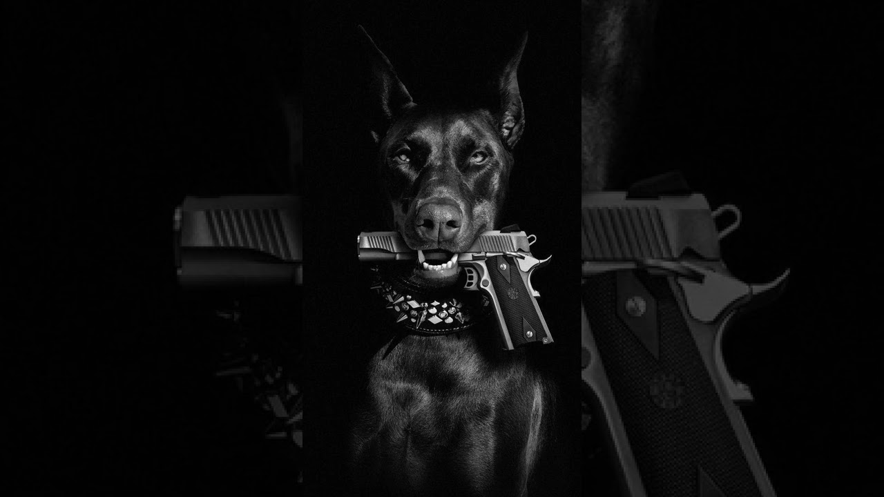 Prosoul Da Deejay ft Philharmonic - Summer Vibe