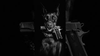 Prosoul Da Deejay Ft Philharmonic  Summer Vibe