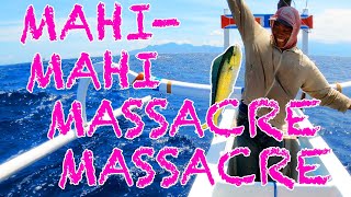 SPEARFISHING DOZENS of mahi mahi in BALI, INDONESIA